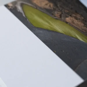 wydruk na papierze ILFORD STUDIO MATT 235 GSM